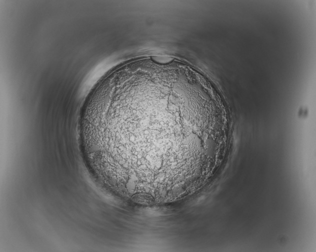 X0000113080103200909111013