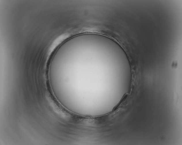 X0000113080104200909111013