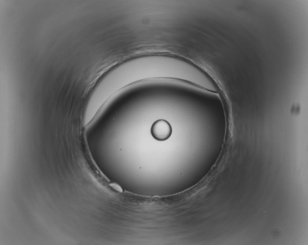 X0000113080105200909111013