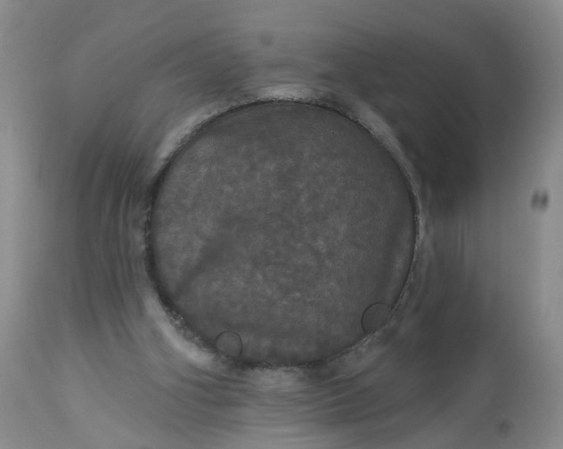 X0000113080106200909111013