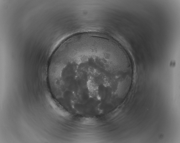 X0000113080107200909111013