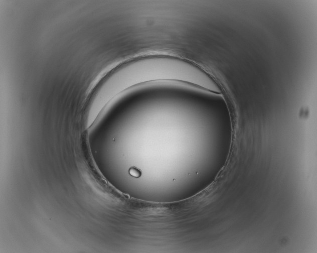 X0000113080108200909111013