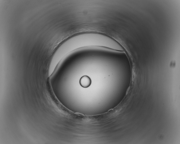 X0000113080109200909111013