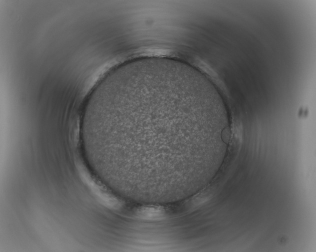 X0000113080110200909111013