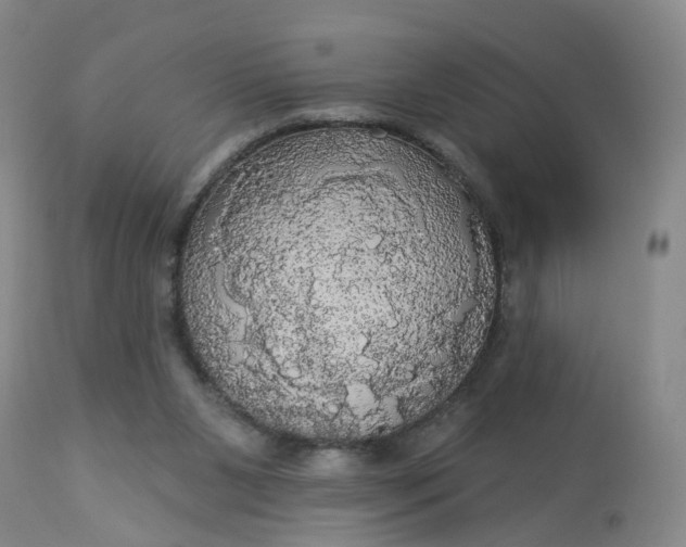 X0000113080111200909111013