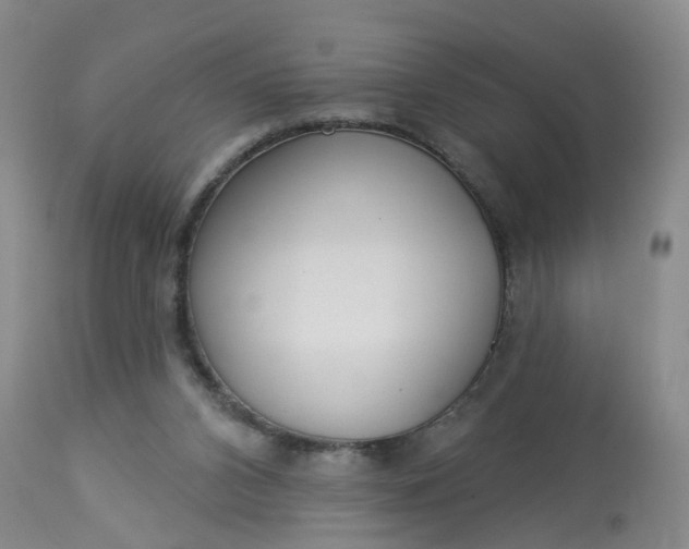 X0000113080112200909111013