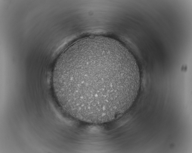 X0000113080115200909111013