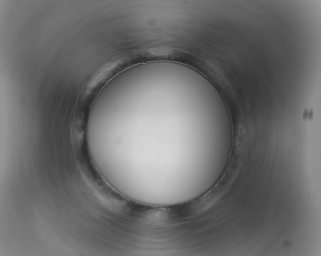 X0000113080116200909111013