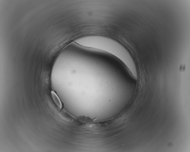 X0000113080117200909111013