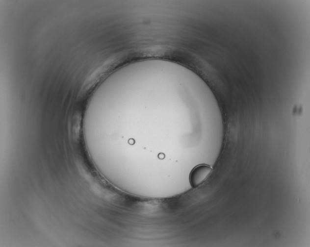 X0000113080118200909111013