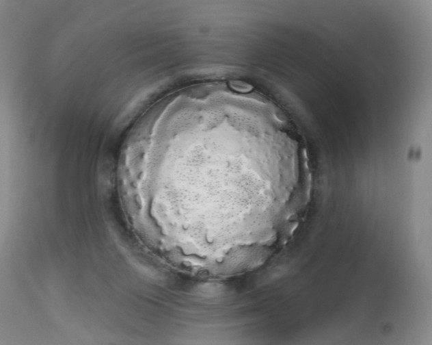 X0000113080119200909111013