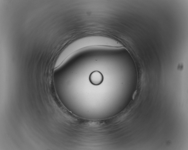 X0000113080121200909111013