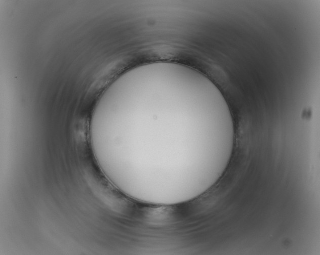 X0000113080122200909111013