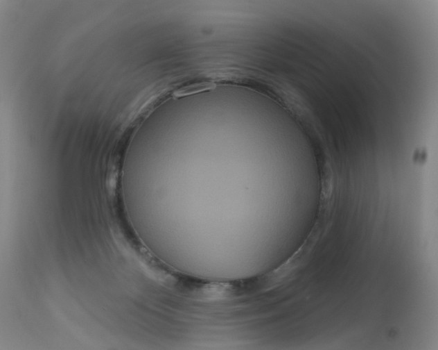 X0000113080124200909111013