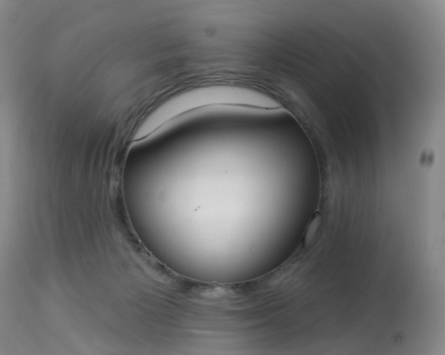 X0000113080125200909111013