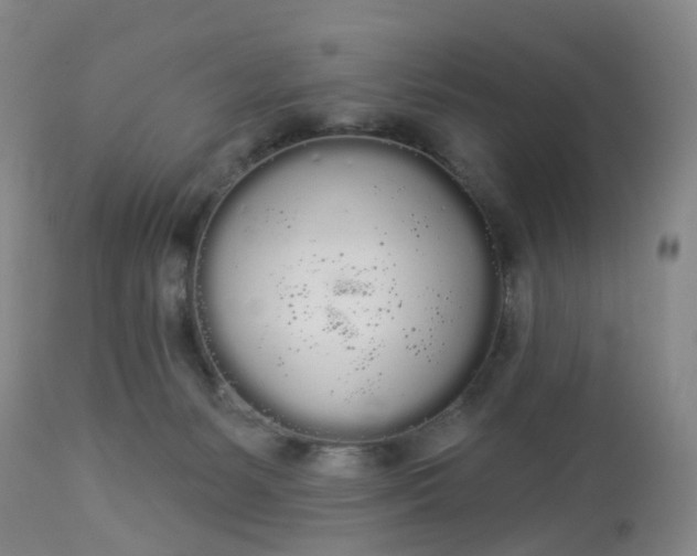 X0000113080127200909111013