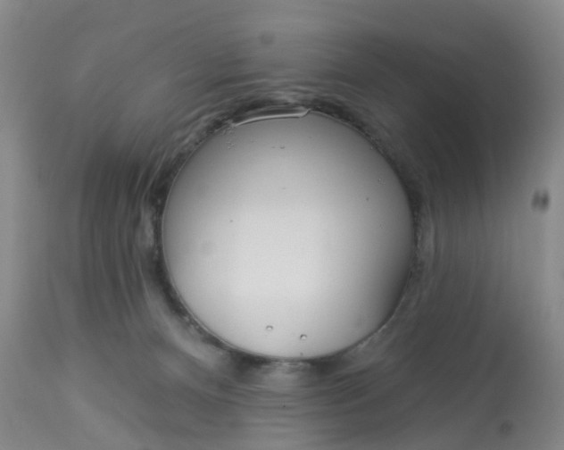 X0000113080128200909111013