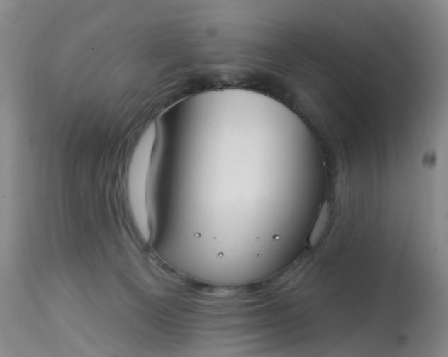 X0000113080129200909111013