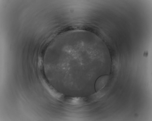 X0000113080130200909111013