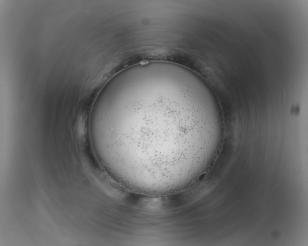 X0000113080131200909111013