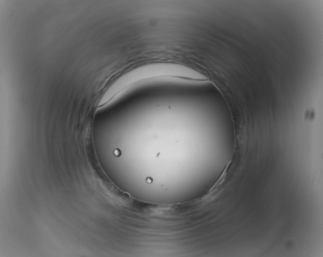 X0000113080132200909111013