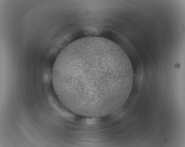 X0000113080134200909111013