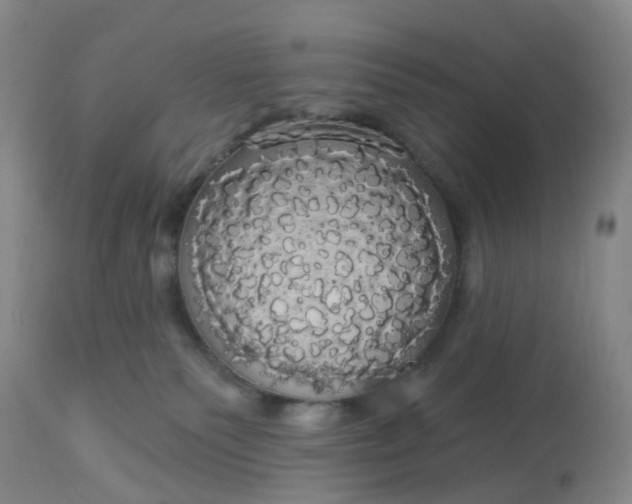 X0000113080135200909111013