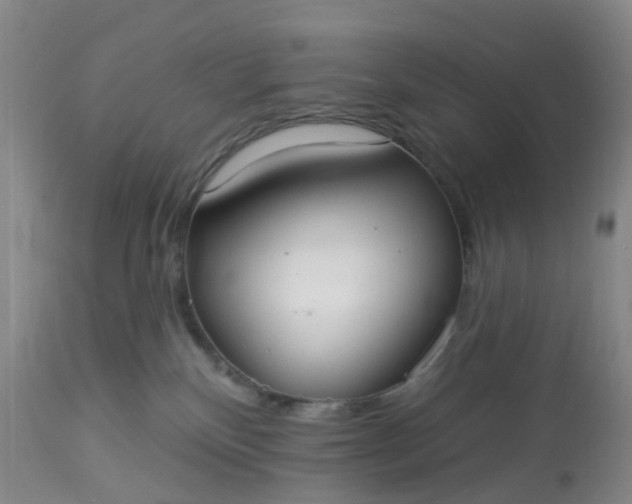 X0000113080136200909111013