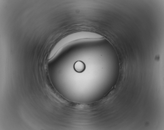 X0000113080137200909111013