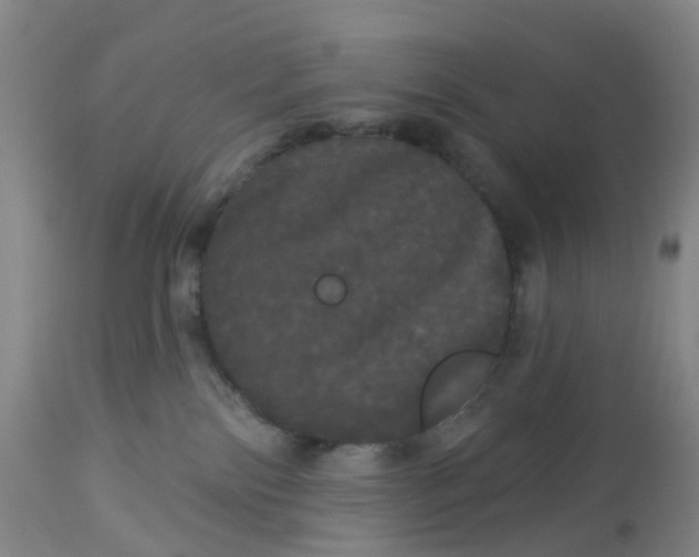 X0000113080138200909111012