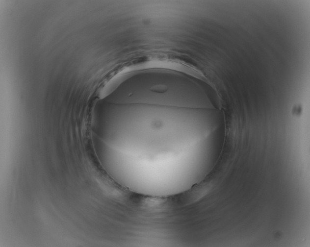 X0000113080139200909111012