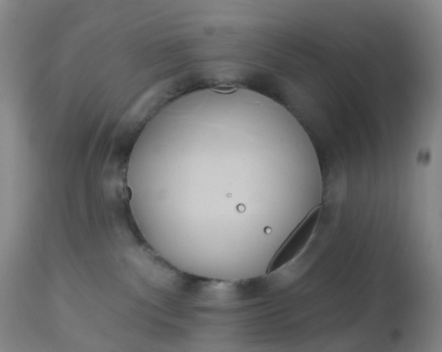 X0000113080140200909111012