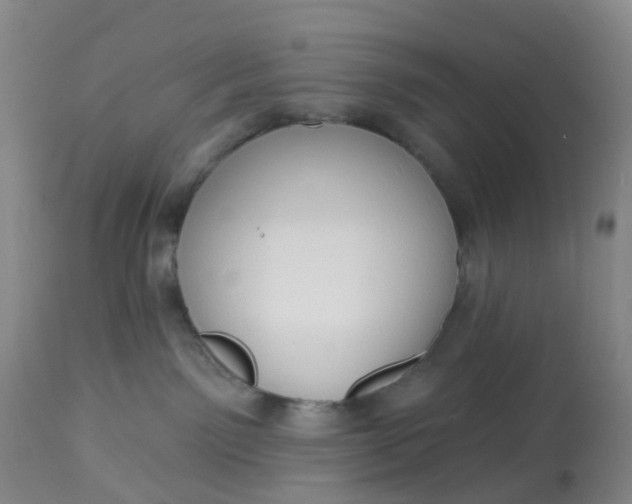 X0000113080141200909111012