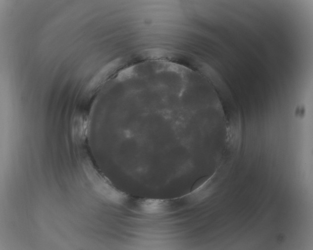 X0000113080142200909111012