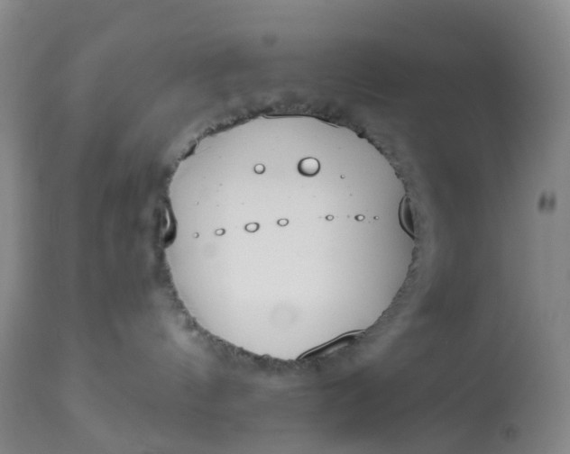 X0000113080144200909111012