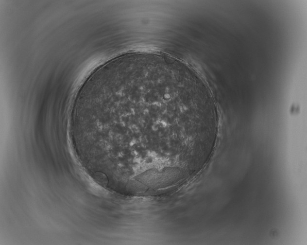 X0000113080145200909111011