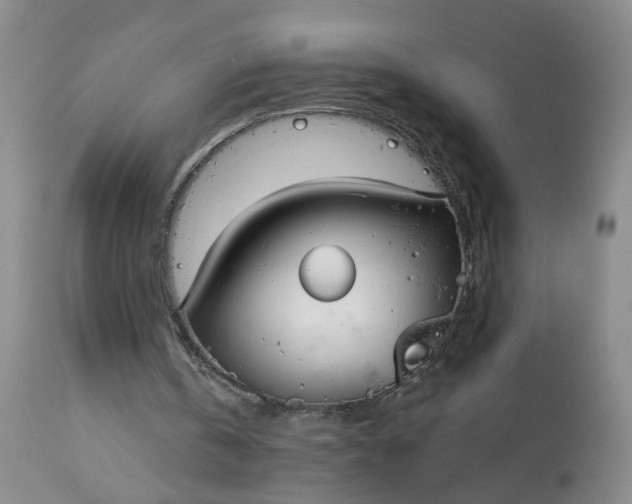 X0000113080146200909111011