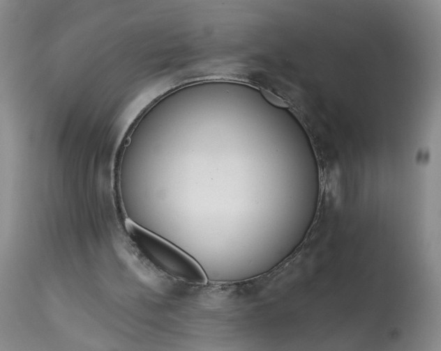 X0000113080148200909111011