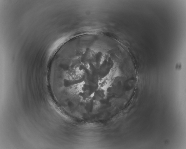 X0000113080149200909111011