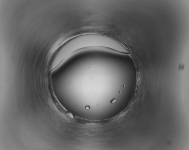 X0000113080150200909111011