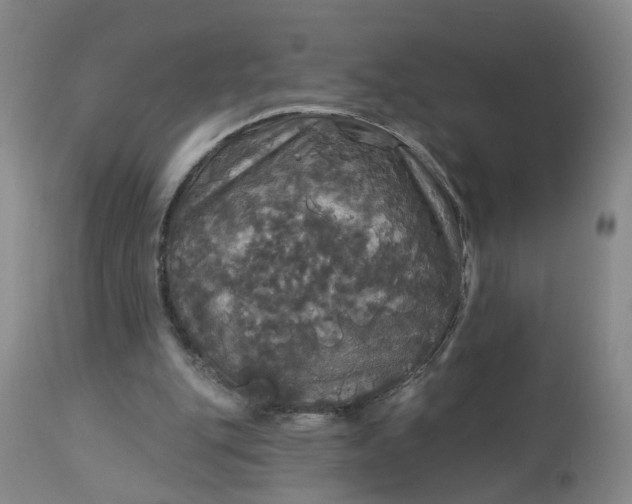 X0000113080151200909111011