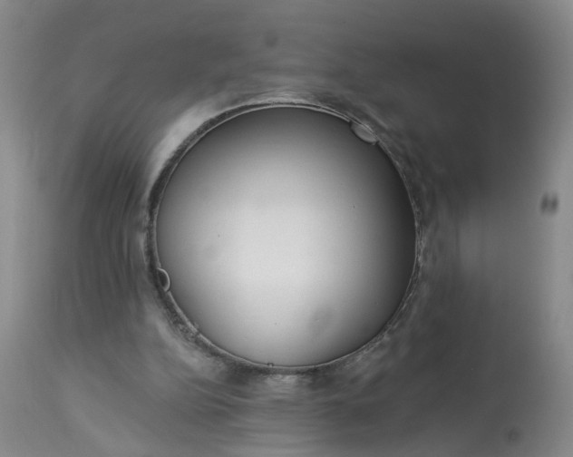 X0000113080152200909111011