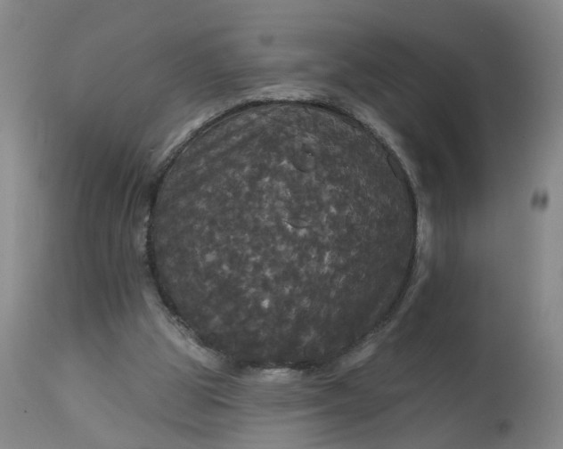 X0000113080153200909111011