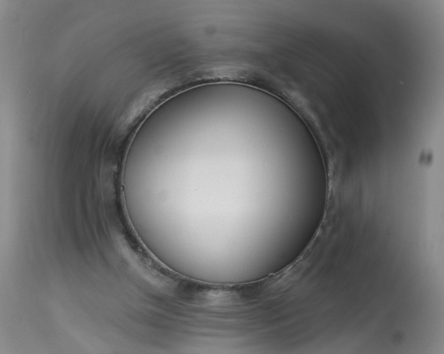 X0000113080154200909111011