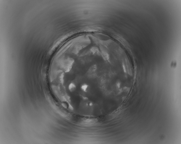 X0000113080155200909111011