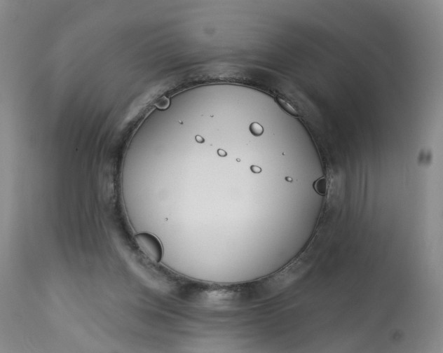 X0000113080158200909111011