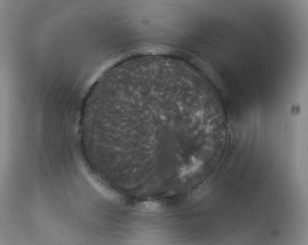 X0000113080159200909111011