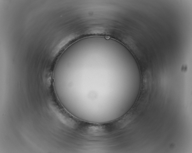 X0000113080160200909111011