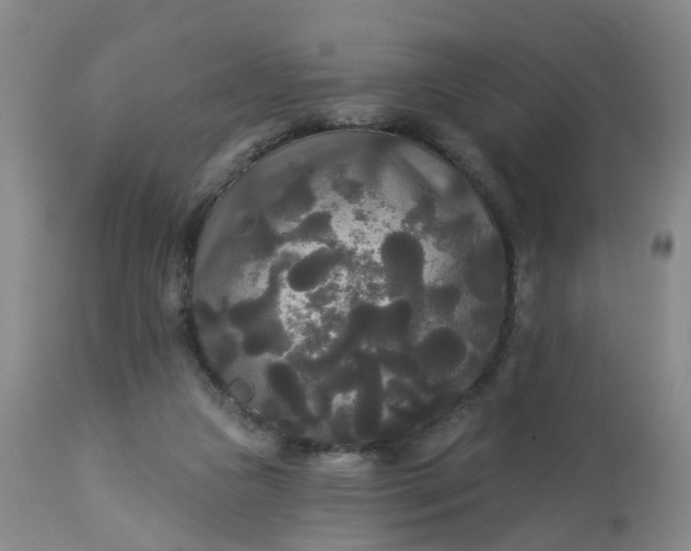 X0000113080161200909111011