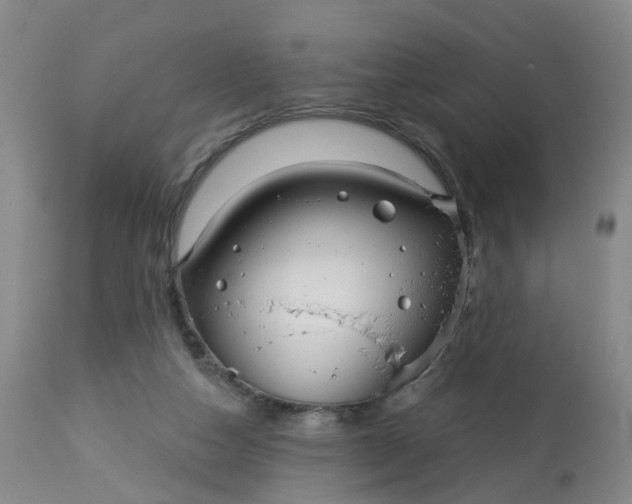 X0000113080162200909111011